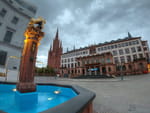 Photos