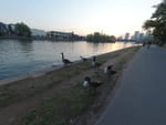 2020-09-30_18-43-29_DJI_0979.jpg