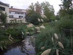 2020-10-06_18-42-38_P2070673.JPG