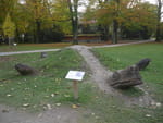 2020-10-20_16-38-28_P2090583.jpg