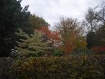 2020-10-23_17-44-56_P2090702.JPG