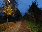 2020-10-23_18-36-57_DJI_0953.JPG