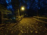 2020-10-23_18-39-56_DJI_0954.JPG