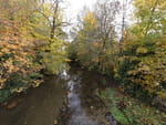 2020-10-24_11-34-52_DJI_0961.jpg