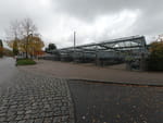 2020-10-24_11-41-25_DJI_0964.jpg