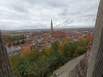 2020-10-24_13-20-18_DJI_0013-hdr.jpg