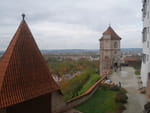 2020-10-24_13-26-00_P2090838.jpg