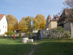 2020-10-25_13-38-55_P2100006.jpg