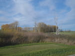 2020-10-25_15-09-55_P2100128.jpg