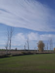 2020-10-25_15-10-04_P2100131.jpg