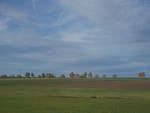 2020-10-25_15-10-37_P2100133.jpg