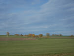 2020-10-25_15-10-45_P2100134.jpg