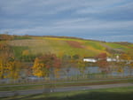 2020-10-25_15-55-53_P2100146.jpg