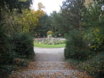 2020-10-25_16-18-28_P2100156.jpg