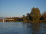 2020-10-27_17-24-22_P2100295.jpg