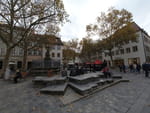 2020-10-31_13-49-56_DJI_0272.jpg