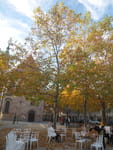 2020-10-31_16-34-22_P2100654.jpg
