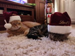 2020-12-06_17-10-28_IMG_20201206_171028.jpg