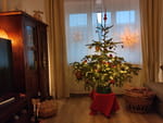 2020-12-24_15-46-35_IMG_20201224_154634.jpg