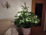 Photos