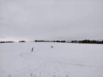 2021-01-19_11-28-50_IMG_20210119_112849.jpg