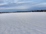 2021-01-20_15-43-51_IMG_20210120_154350224_HDR.jpg