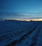2021-01-31_17-41-45_IMG_20210131_174143966-pan.jpg