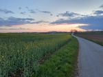2021-05-07_20-32-42_IMG_20210507_203241390_HDR.jpg