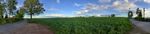 2021-05-16_19-53-55_PANO_20210516_195335.vr.jpg