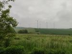 2021-06-07_07-30-49_IMG_20210607_073048.jpg