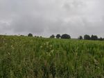 2021-06-07_07-54-30_IMG_20210607_075428.jpg