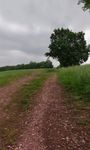 2021-06-07_09-32-43_IMG_20210607_093241-pan.jpg