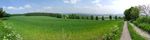 2021-06-07_14-57-58_PANO_20210607_145743-pan.jpg
