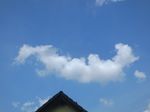 2021-06-10_13-18-24_S0917216.JPG