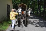 2021-06-27_12-46-49_DSC_5444.JPG