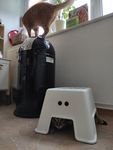 2021-07-09_16-08-36_IMG_20210709_160835.jpg