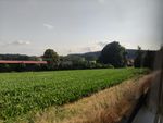 2021-07-22_18-20-57_IMG_20210722_182057.jpg