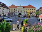 2021-07-28_19-05-10_IMG_20210728_190509.jpg
