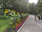 2021-08-06_17-50-06_IMG_20210806_175005.jpg