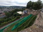 2021-08-20_19-01-02_DJI_0193.JPG