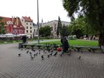 2021-08-26_16-51-54_IMG_20210826_165153.jpg